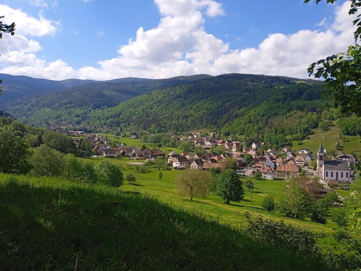 Le Gite Des Kritter Stosswihr Экстерьер фото